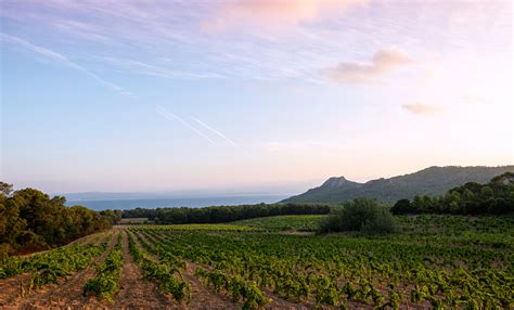 domaine de l'ile porquerolles chanel|Anson: Inside Chanel’s newest winery Domaine de l’Ile.